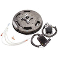 OEM KOHLER MDI MODULE CONVERSION KIT 24 755 308 - S FITS CH22 CH23 STENS 055 - 167 - OPE Quality Parts