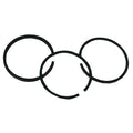 REPLACES BRIGGS AND STRATTON PISTON RINGS 90100 - 92900 93500 - 93900 STENS 500 - 017 - OPE Quality Parts
